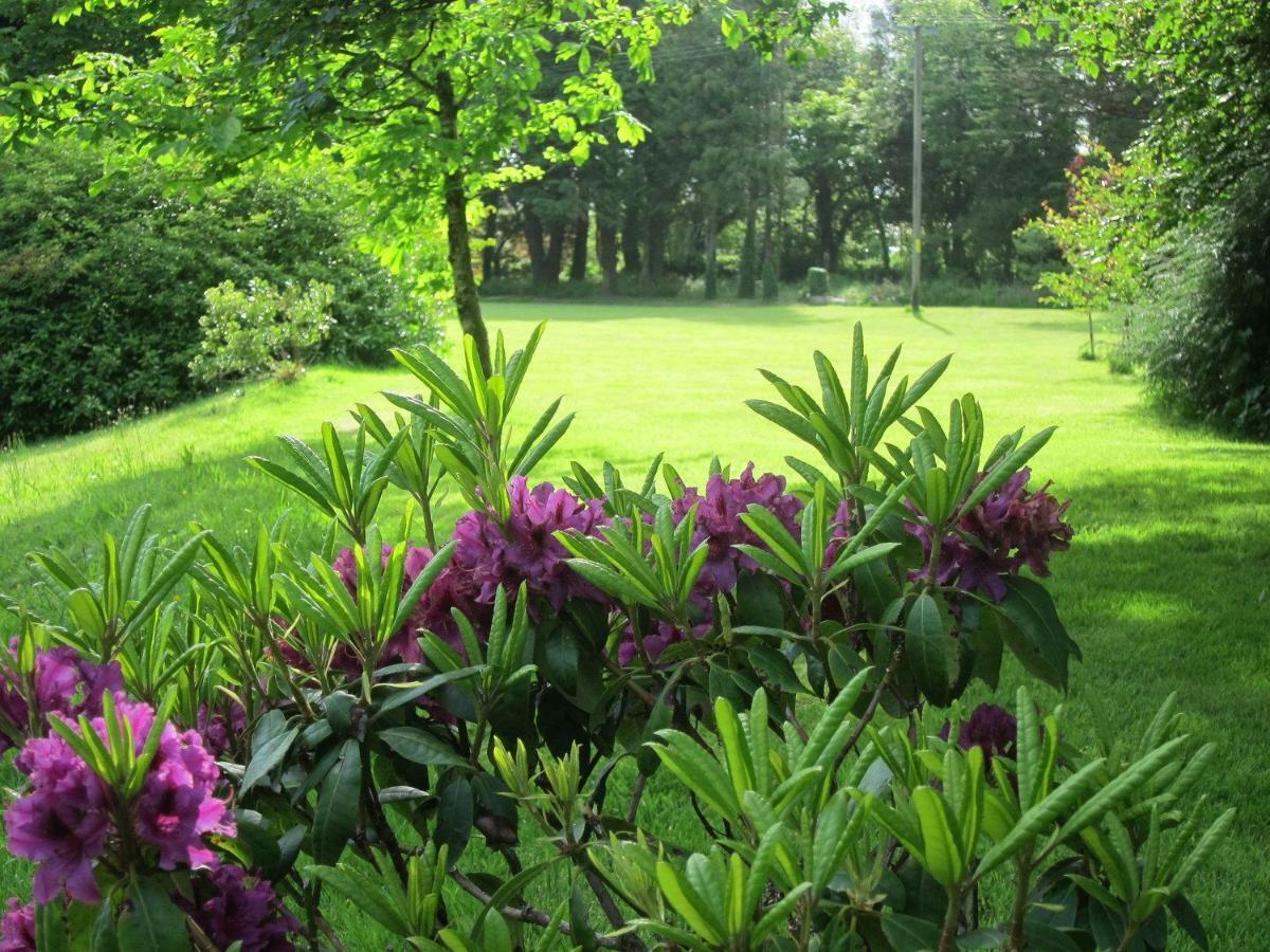 Hope Cottage Modbury المظهر الخارجي الصورة